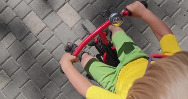 Toddler boy rides tricycle along paved road in city park — Stock Video