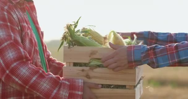 Чоловік в червоній сорочці дає чохол з кукурудзяними цицьками працівникам — стокове відео