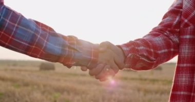 Çiftçiler bitmeyen buğday tarlasında saman balyalarıyla el sıkışıyor.