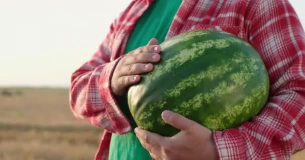 Mężczyzna w czerwonej koszuli posiada arbuza i zwierząt domowych owoców i żołądka — Wideo stockowe