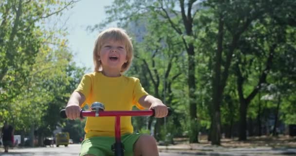 Felice bambino cavalca triciclo rosso lungo la strada nel parco verde — Video Stock