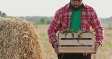 Sakallı çiftçi ağır sandığı mısır koçanı ve kokuyla kaldırıyor.