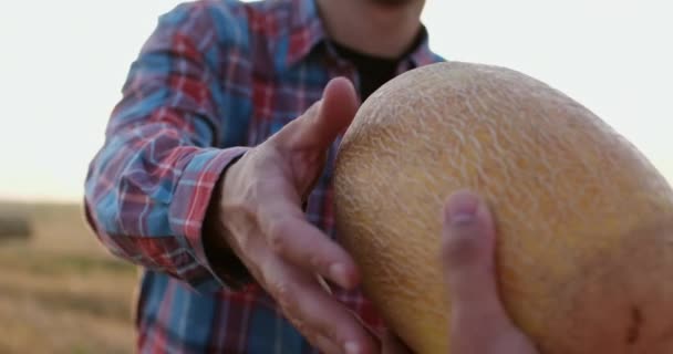 A farmer sárgadinnyét ad a kollégának, aki megfordul és elmegy. — Stock videók