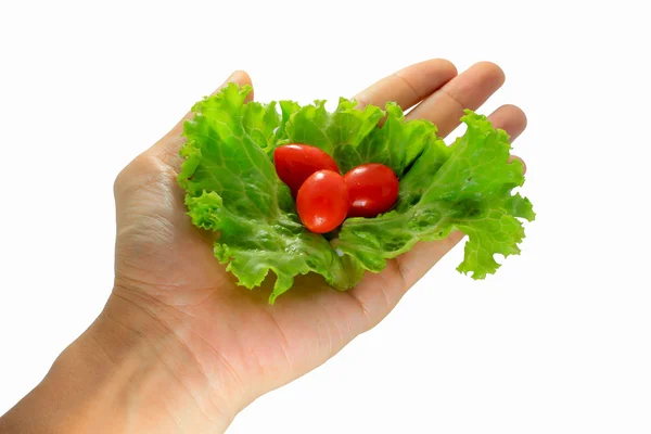 Drei rote Tomaten mit Salat auf der Hand — Stockfoto