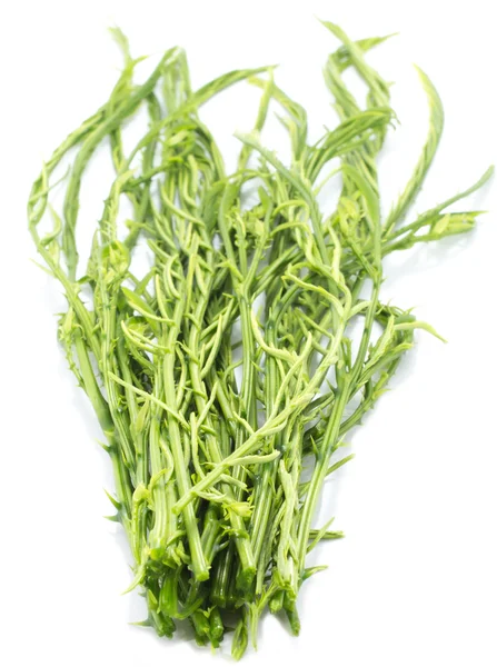 Cha Vegetable Isolated with white background — Stock Photo, Image