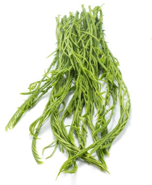 Cha sebze izole beyaz arka plan ile