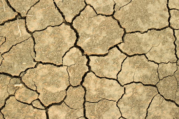 Drought land background — Stock Photo, Image