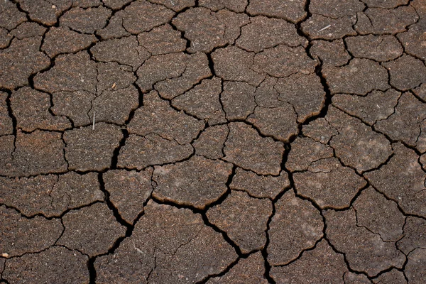 Drought land background — Stock Photo, Image