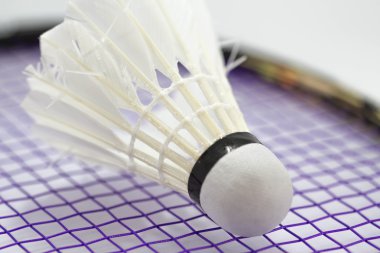 Badminton için beyaz raketle
