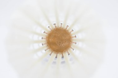 Badminton için beyaz raketle