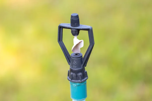 Espolvorear agua en el jardín —  Fotos de Stock