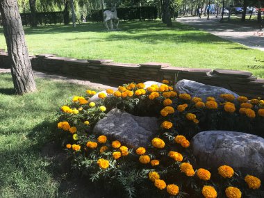 Kazakistan 'daki Almaty şehri manzarası