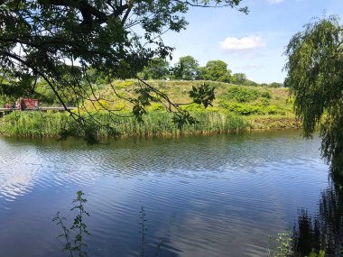 Kopenhag, Danimarka 'da göl ve ağaçlı manzara