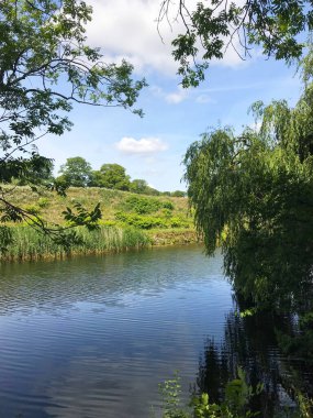 Kopenhag, Danimarka 'da göl ve ağaçlı manzara