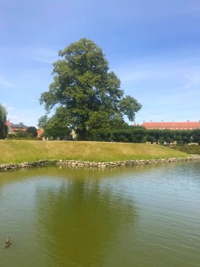 Kongens 'deki Rosenberg Şatosu Kopenhag, Danimarka