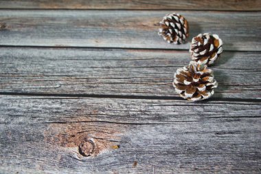 Ahşap arka planda çam kozalakları