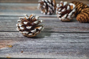 Ahşap arka planda çam kozalakları