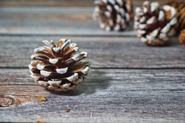 Ahşap arka planda çam kozalakları