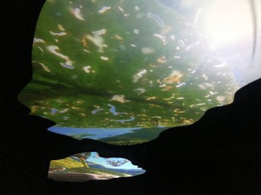 Louisiana Helsingor Modern Sanatlar Müzesi (Elsinore), Danimarka