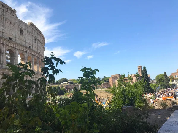 Vista Del Coliseo Roma Italia —  Fotos de Stock