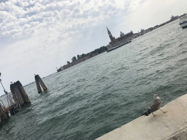 View Grand Canal Venice Italy — Stock Photo, Image