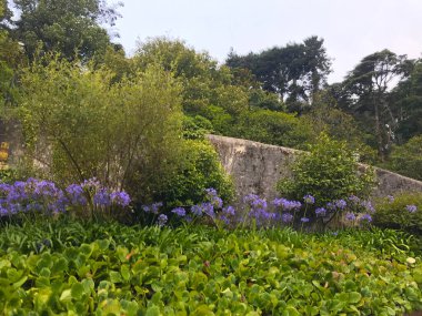 Sintra, Lizbon 'daki Pena Sarayı manzarası
