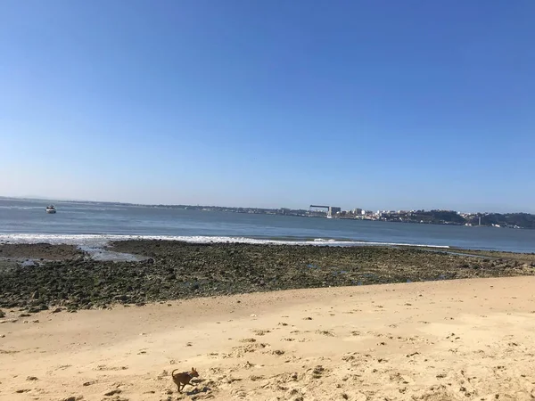 Vista Del Río Tajo Cerca Cais Das Colunas Lisboa Portugal —  Fotos de Stock