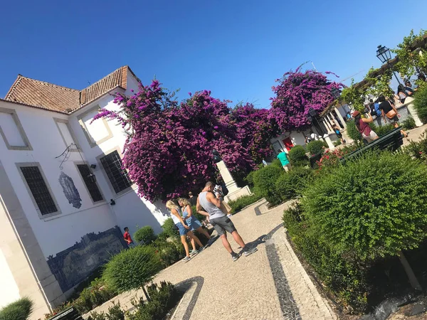 Miradouro Santa Luzia Portugal 리스본 — 스톡 사진