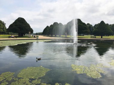 İngiltere, Richmond 'daki Hampton Sarayı Bahçesi