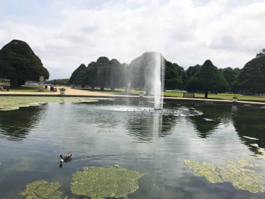 İngiltere, Richmond 'daki Hampton Sarayı Bahçesi