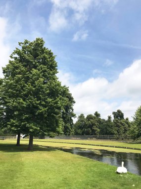 İngiltere, Richmond 'daki Hampton Sarayı Bahçesi