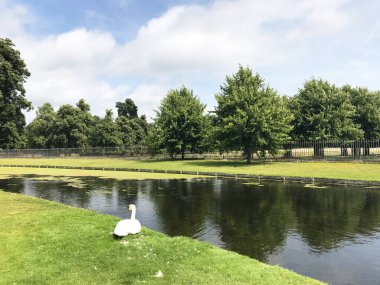 İngiltere, Richmond 'daki Hampton Sarayı Bahçesi