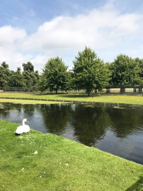 İngiltere, Richmond 'daki Hampton Sarayı Bahçesi