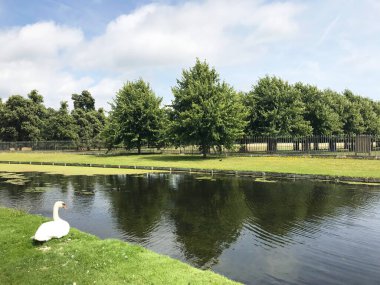 İngiltere, Richmond 'daki Hampton Sarayı Bahçesi