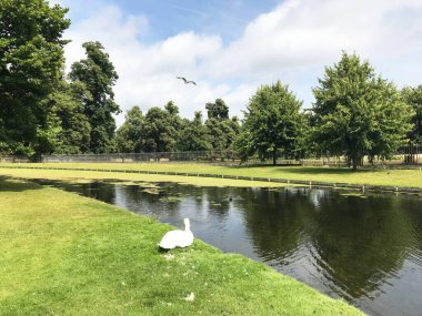 İngiltere, Richmond 'daki Hampton Sarayı Bahçesi