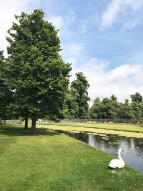 İngiltere, Richmond 'daki Hampton Sarayı Bahçesi