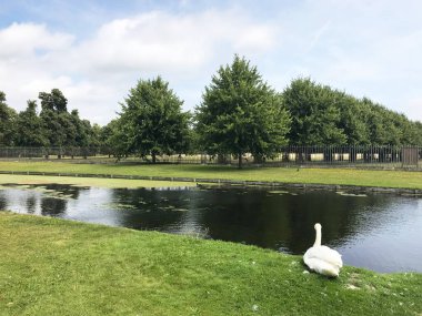 İngiltere, Richmond 'daki Hampton Sarayı Bahçesi
