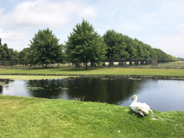 İngiltere, Richmond 'daki Hampton Sarayı Bahçesi