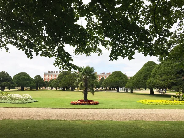 Trädgård Hampton Court Palats Richmond England Storbritannien — Stockfoto