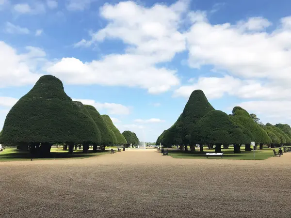 Tuin Van Hampton Court Palace Richmond Engeland Verenigd Koninkrijk — Stockfoto