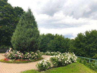 view of grassland in Kolomenskoye park in Moscow, Russia
