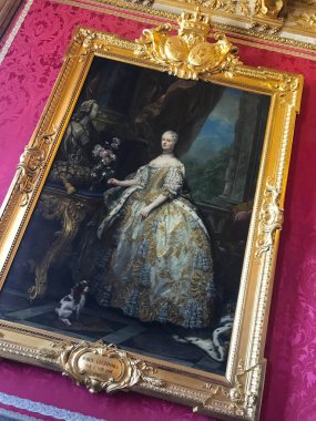 Paris, Fransa yakınlarındaki Versailles Sarayı.