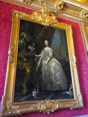 Paris, Fransa yakınlarındaki Versailles Sarayı.
