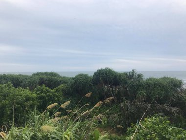 Denize yakın Shimen Bölgesi 'nin doğa manzarası, New Taipei City, Tayvan