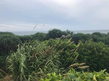 Denize yakın Shimen Bölgesi 'nin doğa manzarası, New Taipei City, Tayvan
