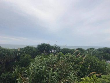 Denize yakın Shimen Bölgesi 'nin doğa manzarası, New Taipei City, Tayvan