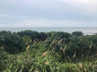 Denize yakın Shimen Bölgesi 'nin doğa manzarası, New Taipei City, Tayvan