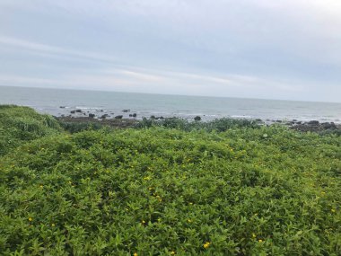 Denize yakın Shimen Bölgesi 'nin doğa manzarası, New Taipei City, Tayvan