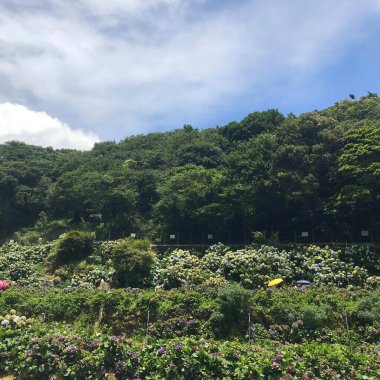 Taipei, Tayvan 'daki Yangmingshan Milli Parkı' ndaki Zhuzihu Gölü manzarası