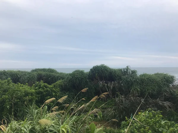 Denize yakın Shimen Bölgesi 'nin doğa manzarası, New Taipei City, Tayvan